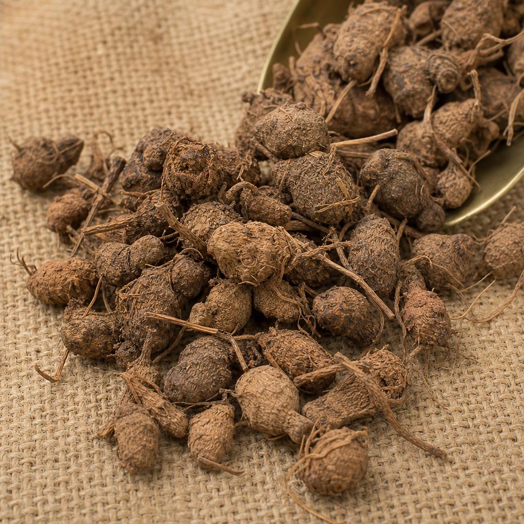 Cypriol Oil