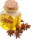 anise-seed-oil