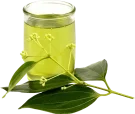 cinnamon-leaf-oil