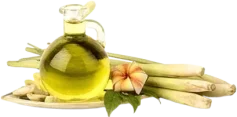 citronella-oil