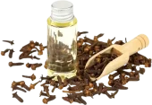 clove-bud-oil