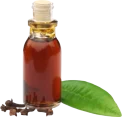 clove-leaf-oil