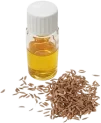 cumin-oil