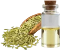 fennel-seed-oil