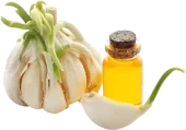 garlic-oil