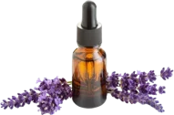 lavender-oil