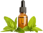 peppermint-oil