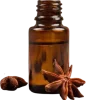 star-anise-or