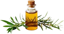 tea-tree-oil